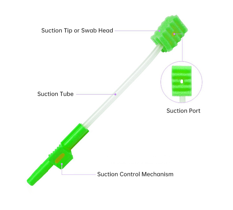 Structure of Suction Swab
